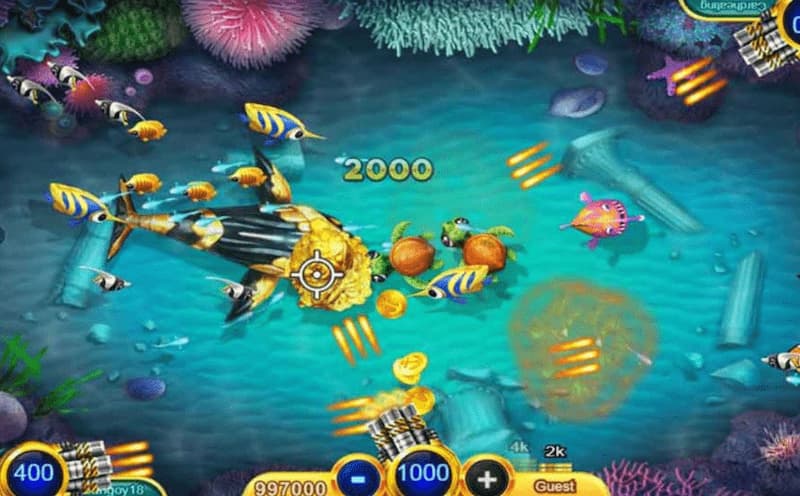 Tối ưu mức cược linh hoạt